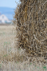 Similar image 641761