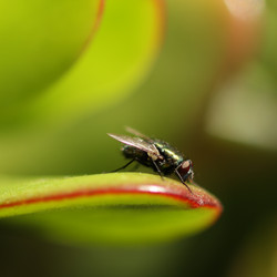 Similar image 641768