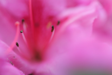 Similar image 641795