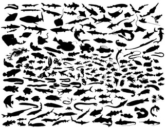 Similar image 641863