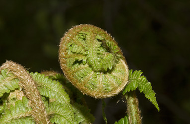 Similar image 641866