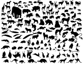 Similar image 641878