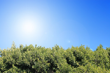 Similar image 641879