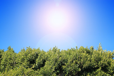 Similar image 641880