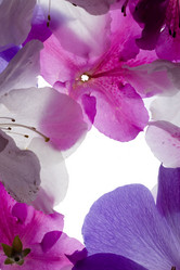 Similar image 641887