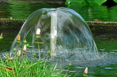 Similar image 641915