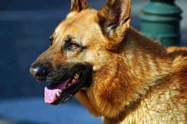 Similar image 641926