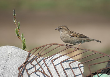 Similar image 641928