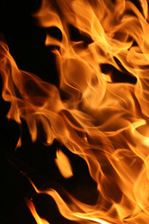 Similar image 641929