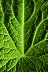 Similar image 641934