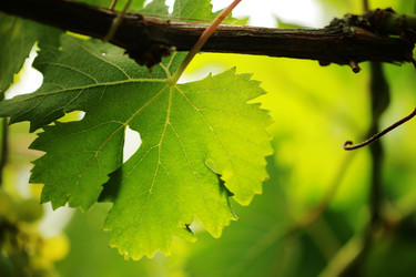 Similar image 641940