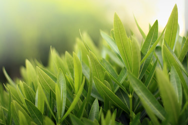 Similar image 641964