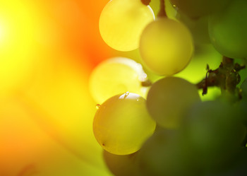 Similar image 641965