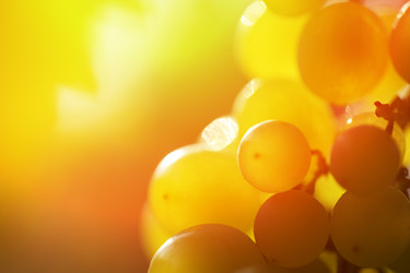 Similar image 641968