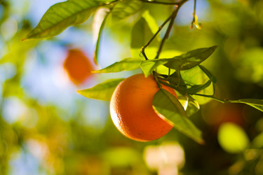 Similar image 641971