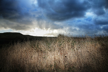 Similar image 641979