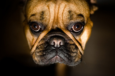 Similar image 641983