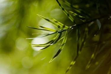 Similar image 641986