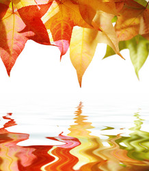 Similar image 642041