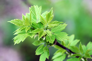 Similar image 642071