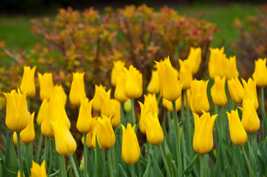 Similar image 642077