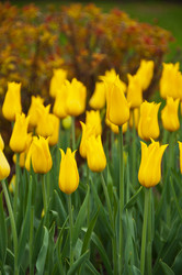 Similar image 642078