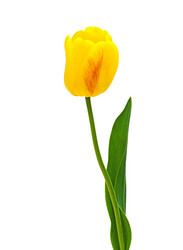 Similar image 642120