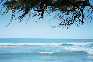 Similar image 642123