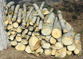 Similar image 642124