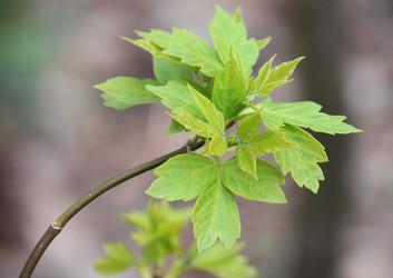 Similar image 642129