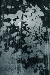 Similar image 642136