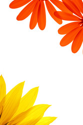 Similar image 642158