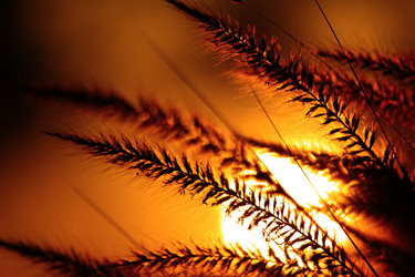 Similar image 642172