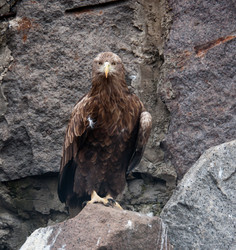 Similar image 642173