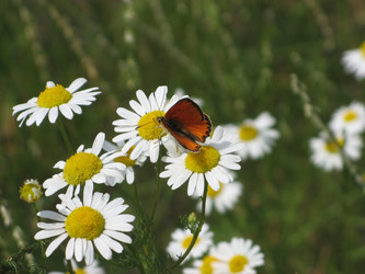 Similar image 642179