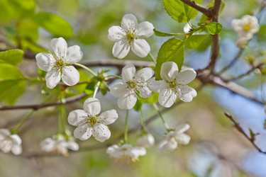 Similar image 642180