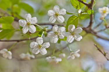 Similar image 642181