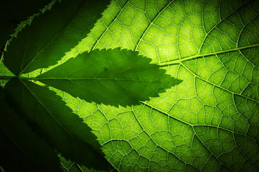 Similar image 642185