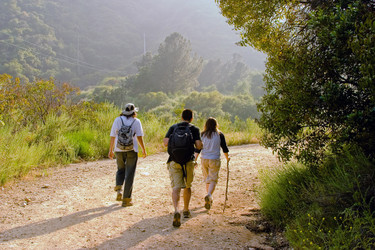 Similar image 642198