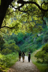 Similar image 642199