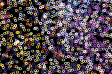 Similar image 642204