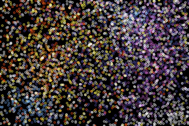 Similar image 642205