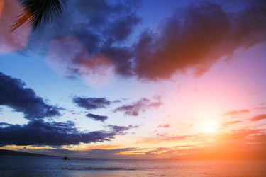 Similar image 642245