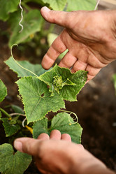 Similar image 642257