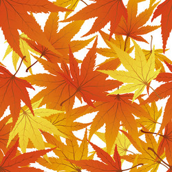 Similar image 642281