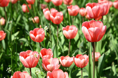 Similar image 642286