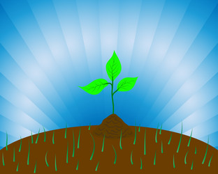 Similar image 642338