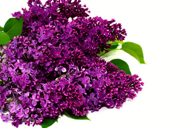 Similar image 642345