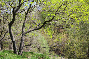 Similar image 642375