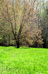 Similar image 642376